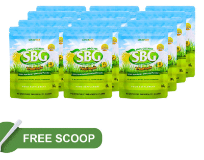 SBG Powder in Trial Pack | 80 grams - 12 Pcs